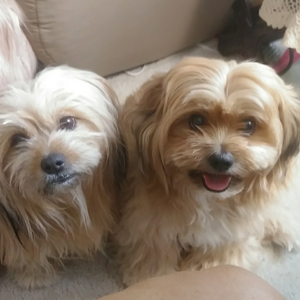 Meet your Posher, Patty